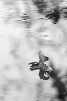 IMG_0913-2