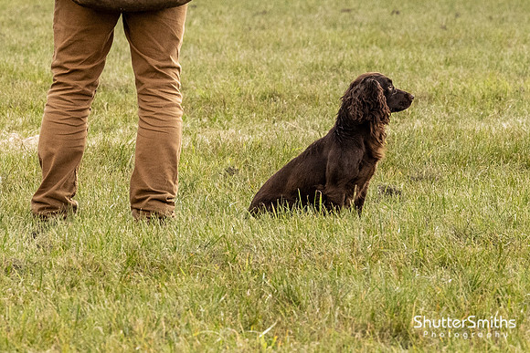 Hampshire Country Sports Day-8339