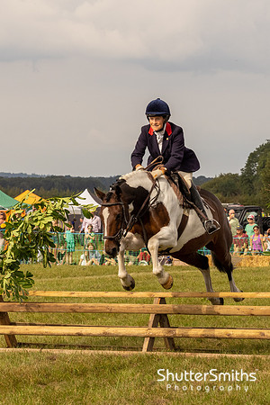 Hampshire Country Sports Day-8390