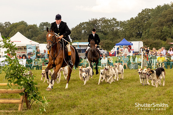 Hampshire Country Sports Day-8451