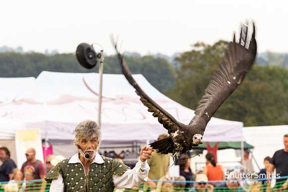 Hampshire Country Sports Day-8502